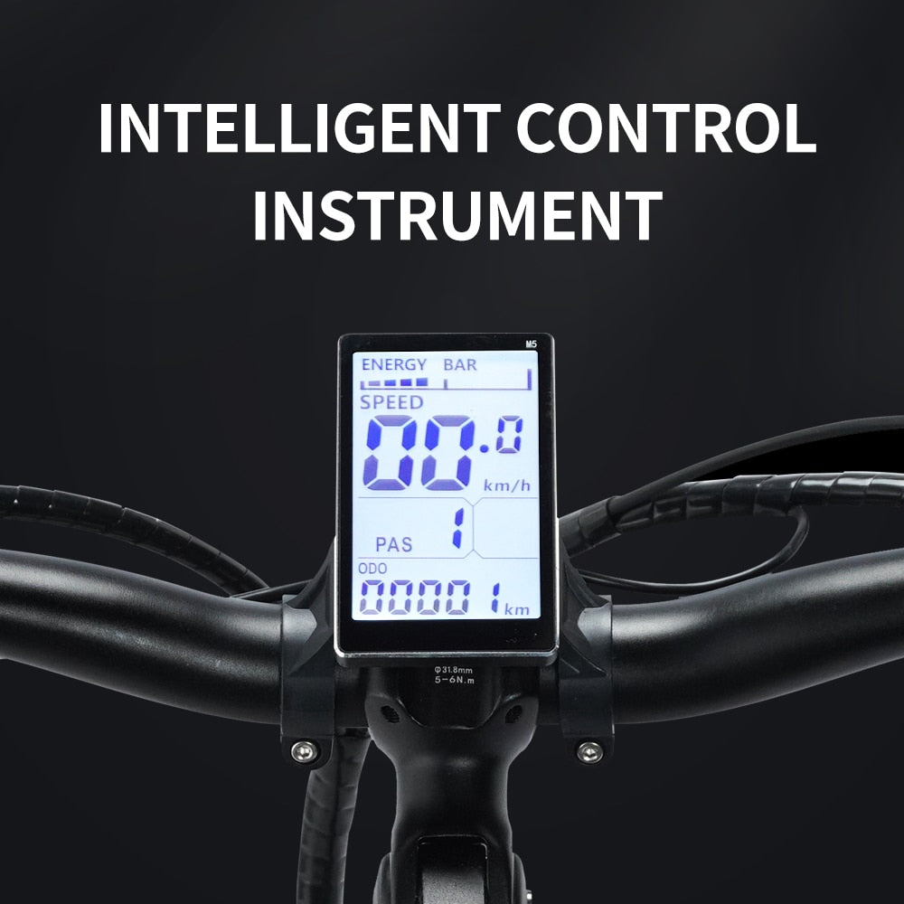 New Ridstar Winner Folding Electric Bike 1000W 48v 14AH Fat Tire Ebike Mountain Bike 20 Inch Electric Bicycle Cycling US Spot